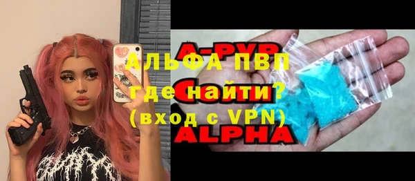 ECSTASY Белокуриха