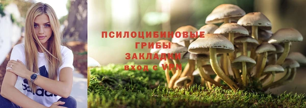 ECSTASY Белокуриха