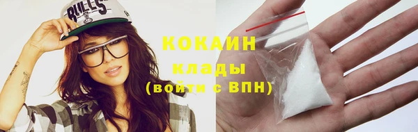 ECSTASY Богородицк