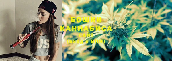 ECSTASY Белокуриха