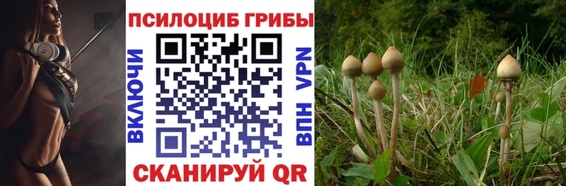 Псилоцибиновые грибы Psilocybe  MEGA сайт  Беслан 